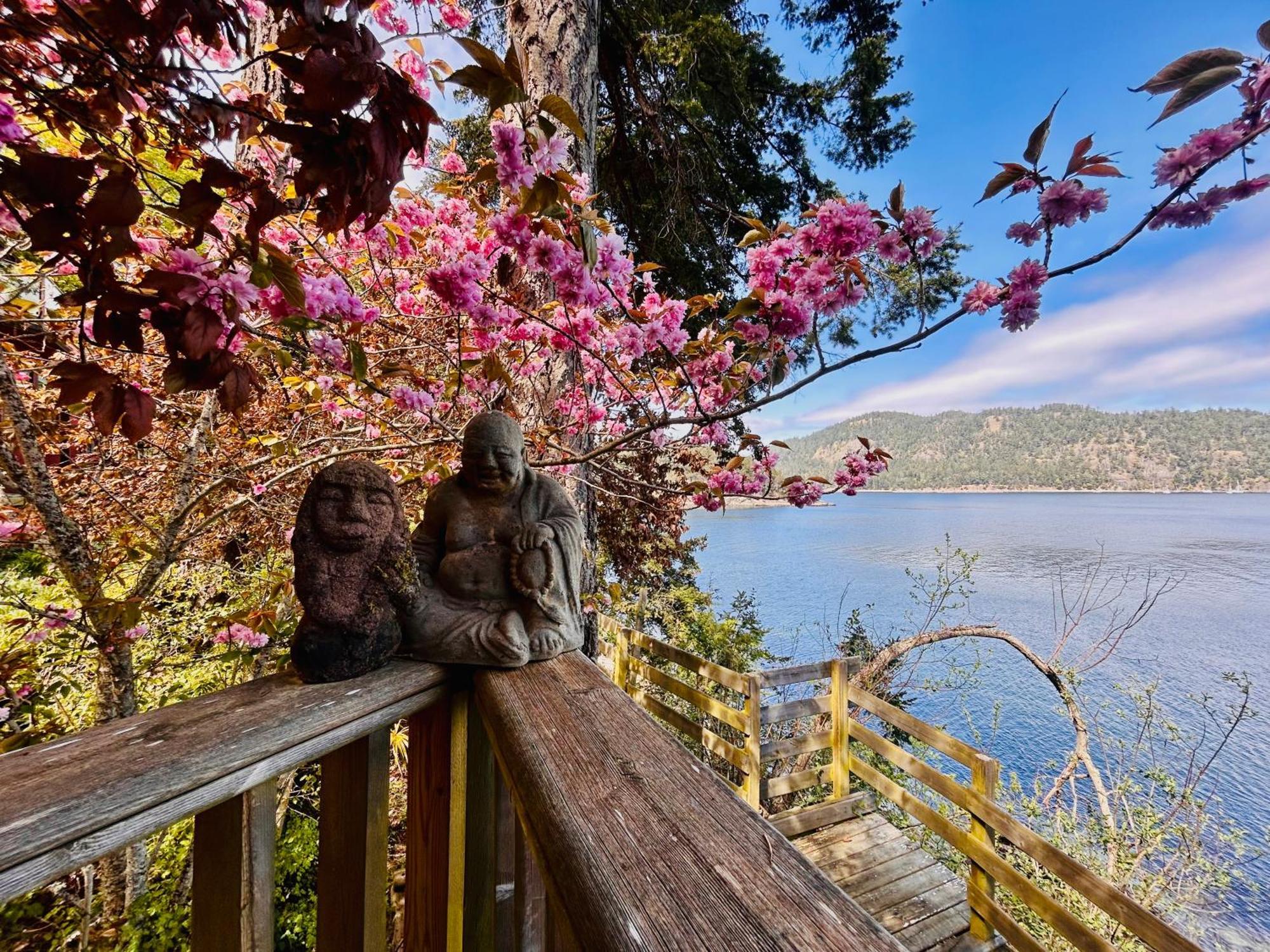 Shangrila Waterfront Vacation Home Bedwell Harbour エクステリア 写真