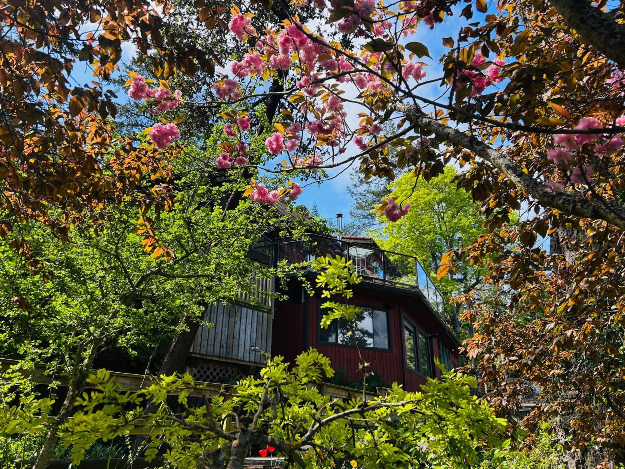 Shangrila Waterfront Vacation Home Bedwell Harbour エクステリア 写真